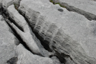 Sheshymore Limestone with classic kharstified exposures of the disolving fracture margins, Grikes, of tabular blocks of limestone pavement, Clints. Widened driven by post glacial disolution (McNamara, & Hennessy, 2010). Variscan folding initiated the fractures (Coller, 1984).